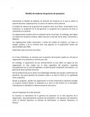 Modelo de madurez en GP