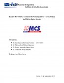 Estudio del Sistema Comercial de Fotocopiadoras y consumibles de Molina Copier Service