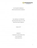 PREGUNTA PROBLEMA ¿Cómo ayudar a solucionar la explotación infantil en Bogotá?