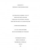 PROTOZOOS Y OTROS MICROORGANISMOS