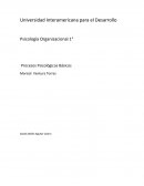 Psicología Organizacional 1° Procesos Psicológicos Básicos