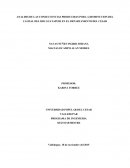 ANALISIS DE LAS CONSECUENCIAS PRODUCIDAS POR LA DISMINUCION DEL CAUDAL DEL RIO GUATAPURI EN EL DEPARTAMENTO DEL CESAR