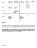 Trabajo Psicología actividades