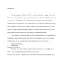 Tecnicas de comunicación La empresa Ingeniería Bajo Cero S.A.S