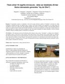 Formato Instructivo