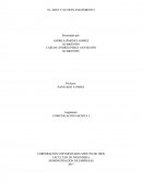 EL ARTE Y SU DESVANECIMIENTO