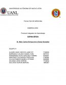 Producto Integrador de Aprendizaje ESPINA BÍFIDA