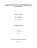 INVESTIGACION DE MERCADOS PARA DETERMINAR POR QUÉ EL RON MEDELLÍN 5 AÑOS SIN AZUCÁR NO HA LOGRADO SU POSICIONAMIENTO EN EL SECTOR DE CASTILLA