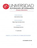 ENSAYO: LA TUTORÍA EN LA FORMACIÓN DOCENTE