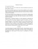 Importancia Matematica Financiera