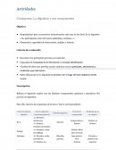 Crucigrama: La digestión y sus componentes Fomentar la capacidad de observación, análisis y síntesis.