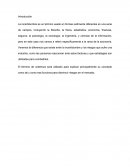 Analisis de mercado. Incertidumbre y riesgo en economía