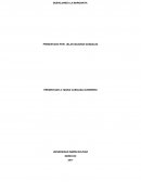 TALLER DE CRECIMIENTO INTRAGRUPAL II DESHOJANDO LA MARGARITA