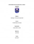 Como es el Liderazgo y Técnicas de supervisión