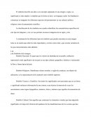 El Símbolo en la Imagen