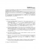 CONTRATO DE PROMESA DE PRESTACION DE SERVICIOS PROFESIONALES