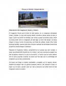 Electricidad Descripción del Imaginario Social y Urbano.