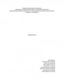 Desarrollo de el Modelo social revolucionalrio