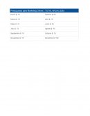 Presupuesto para Marketing Online