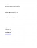 SISTEMA DE EXTRACCION DE FLUIDOS SUPERCRITICO