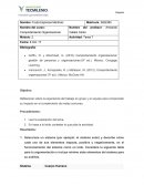 Tarea Comportamiento Organizacional.