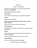 Bioquimica Capitulo 1: Aminoacidos