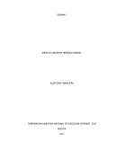 Auditoria Financiera DESARROLLO DE LA ACTIVIDAD