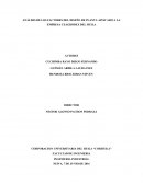 ANÁLISIS DE LOS FACTORES DEL DISEÑO DE PLANTA APLICADO A LA EMPRESA CEAGRODEX DEL HUILA