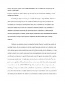 Como se da la Síntesis del primer capítulo de antropología del cuerpo y modernidad