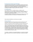 El principio del máximo de Pontryagin