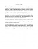 Población indígena en Tantoyuca