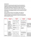 Elementos Quimicos Calcio, el Oxígeno y el Hierro