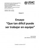 Cuale sson las 17 leyes incuestionables del trabajo en equipo.