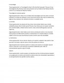 Pema trabajo la tecnologia