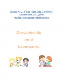 Laboratorio Escuela Nº 274 “Luis María Díaz Colodrero”