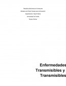 Cuales son las Enfermedades transmisibles y no transmisibles