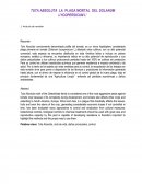 TUTA ABSOLUTA LA PLAGA MORTAL DEL SOLANUM LYCOPERSICUM L1