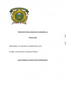 Como Análisis reflexivo ¿Qué esperar cuando estas esperando?