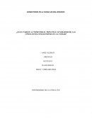 ¿Es el parque automotor el principal generador de las constantes congestiones en la ciudad?
