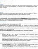 Como se da la La percepción