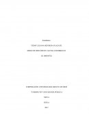 Actividad El ciclo contable