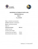 Actividad de organizacion fisica La velocidad y sus componente