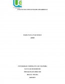 ENSAYO LOS CONFLICTOS DEL DESARROLLO