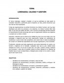 LIDERAZGO, CALIDAD Y GESTIÓN OBJETIVOS