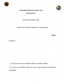 Fisica actividad de organizacion y jerarquizacion