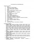 CATEGORÍAS EN UN SUPERMERCADO