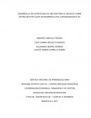 DESARROLLO DE ESTRATEGIAS DE GESTIÓN PARA EL NEGOCIO CARNE BOVINA SECTOR CLAVE DE DESARROLLO EN LA REGIÓN-BOGOTÁ DC