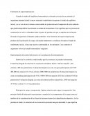 Triatlon, supercompensacion e consumos de isotonicos.