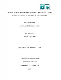DELITOS INFORMÁTICOS CONSAGRADOS EN EL CÓDIGO PENAL Y COMO INCIDEN EN NUESTRO ENTORNO ESE TIPO DE CONDUCTAS. Página 1