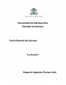 Teoría General del Proceso - La Acción Procesal